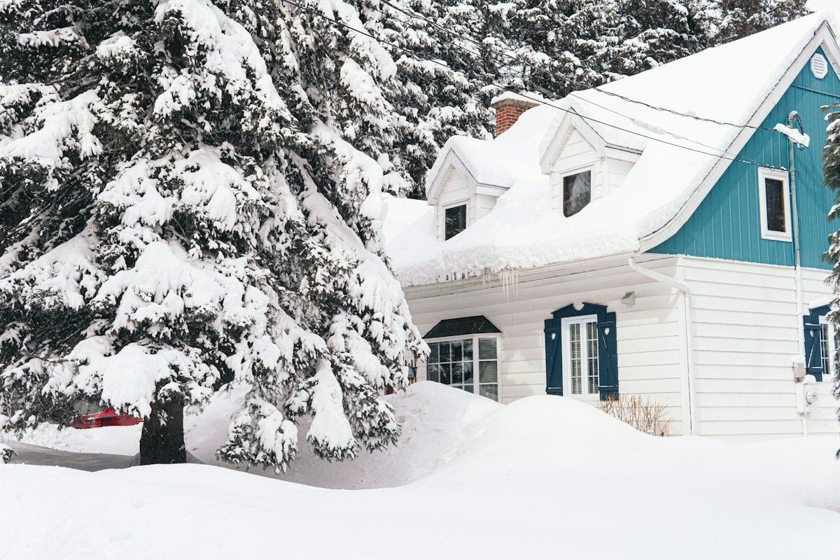 Une maison blanche aux volets bleus et des épinettes chargées de neige après une forte chute de neige