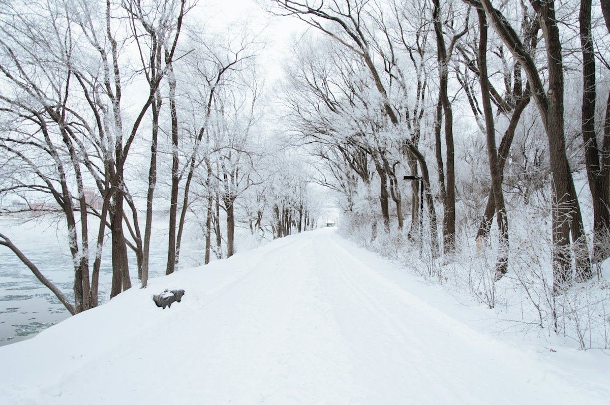 Une route tranquille couverte de neige fraîche, bordée d’arbres dénudés le long d’une rivière