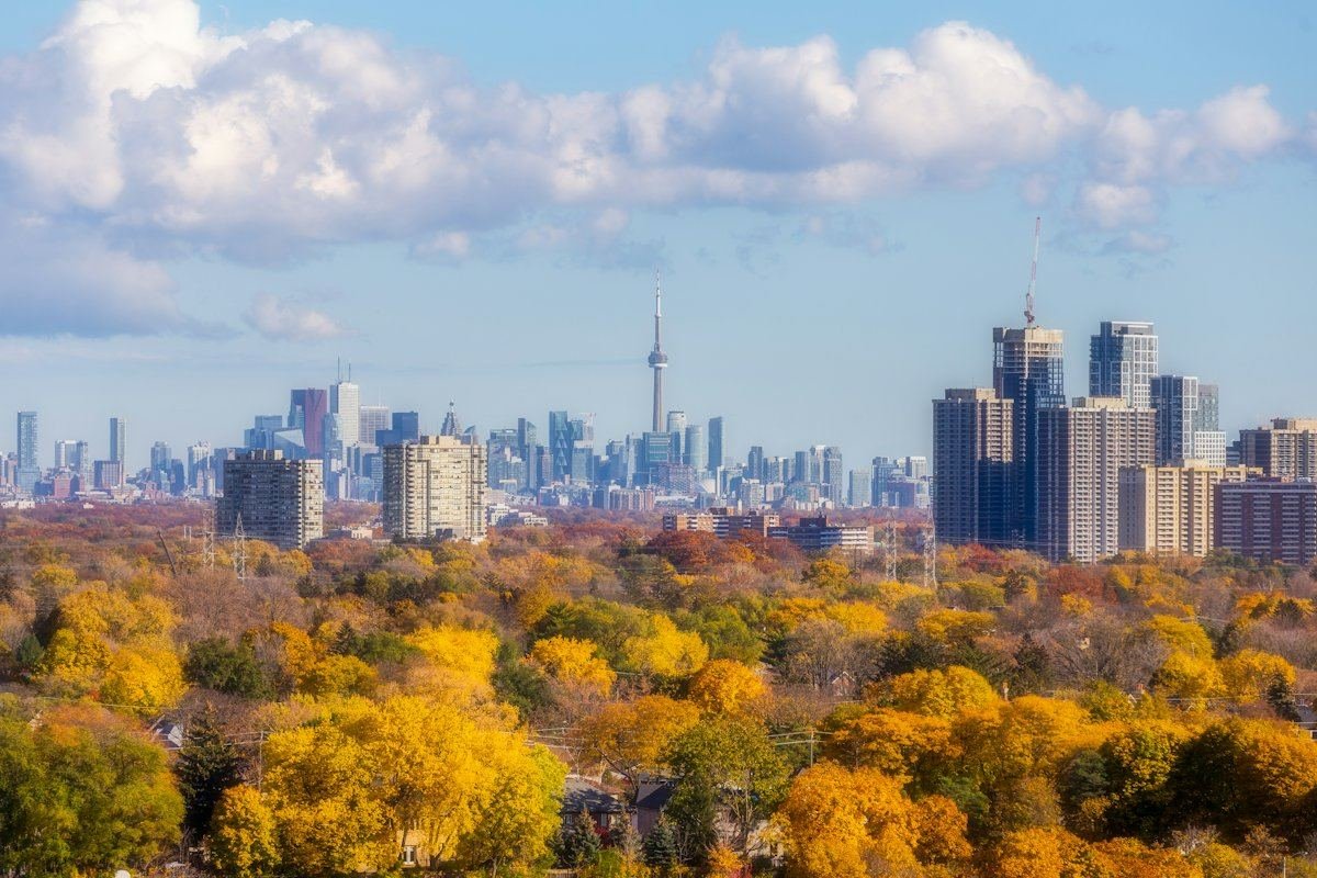 The Toronto skyline rising beyond a valley of trees in full autumn colour